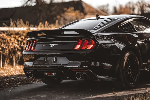 PlaySunny Kazino Android/iOS programa